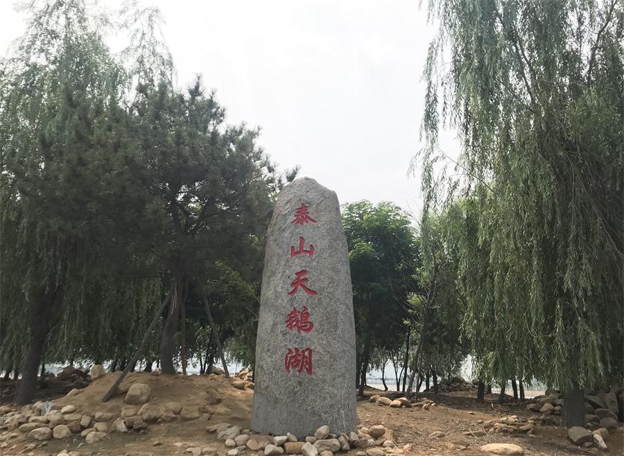 天鵝湖風(fēng)景區(qū)（泰山）速覽！(圖12)