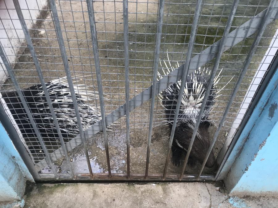 天鵝湖風(fēng)景區(qū)（泰山）速覽！(圖10)