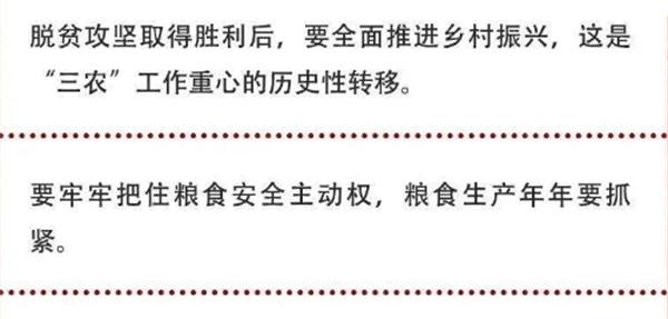 2020年中央農村工作會議精神速覽！(圖2)
